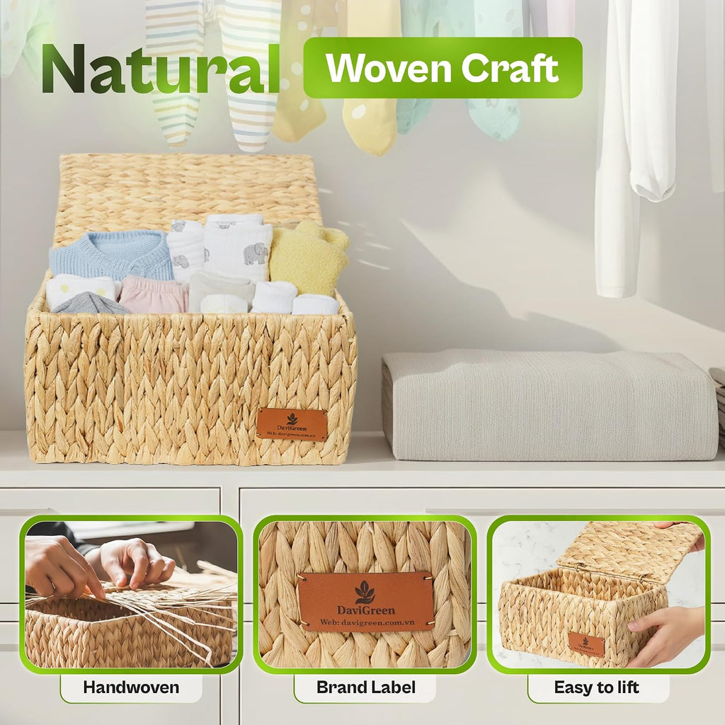 3 Pack Lidded Water Hyacinth Baskets
